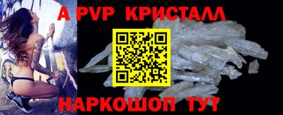 стафф Донской