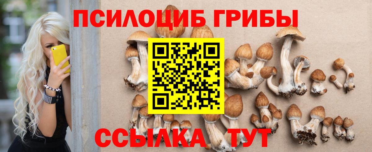 Псилоцибиновые грибы Psilocybe Кумертау